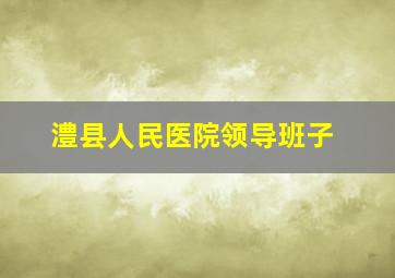 澧县人民医院领导班子