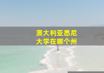 澳大利亚悉尼大学在哪个州