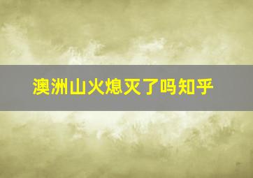 澳洲山火熄灭了吗知乎