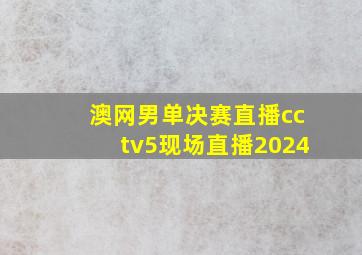 澳网男单决赛直播cctv5现场直播2024