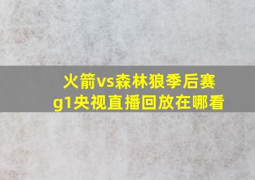 火箭vs森林狼季后赛g1央视直播回放在哪看