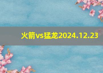 火箭vs猛龙2024.12.23