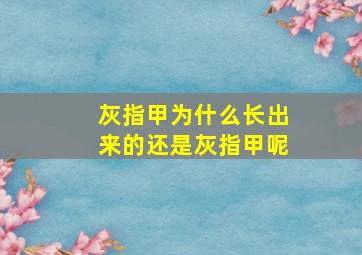 灰指甲为什么长出来的还是灰指甲呢