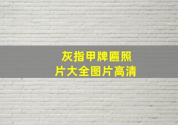 灰指甲牌匾照片大全图片高清