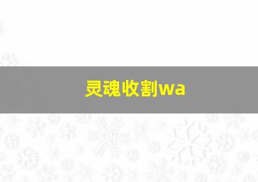 灵魂收割wa