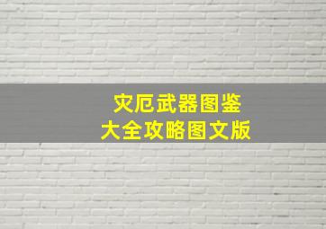 灾厄武器图鉴大全攻略图文版