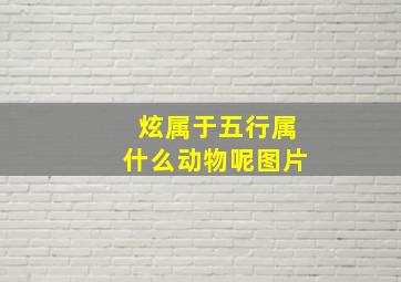 炫属于五行属什么动物呢图片