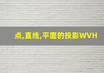 点,直线,平面的投影WVH