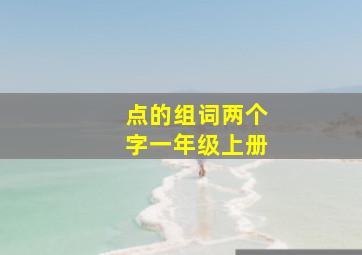 点的组词两个字一年级上册