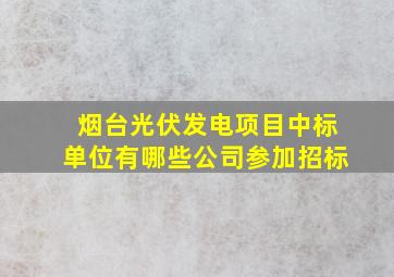 烟台光伏发电项目中标单位有哪些公司参加招标