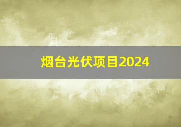 烟台光伏项目2024