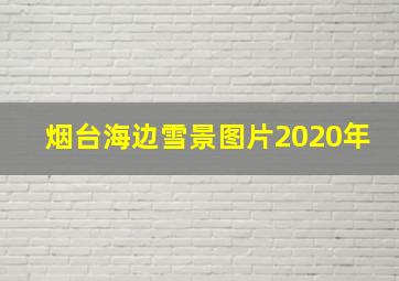 烟台海边雪景图片2020年