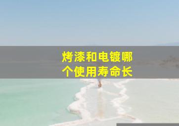 烤漆和电镀哪个使用寿命长