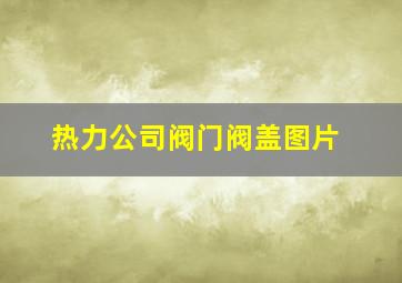 热力公司阀门阀盖图片