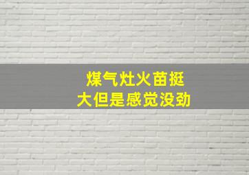 煤气灶火苗挺大但是感觉没劲