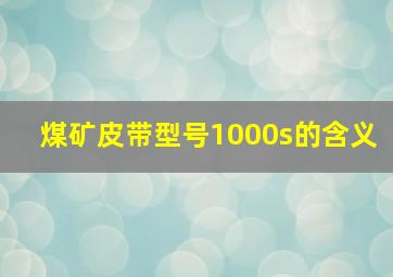 煤矿皮带型号1000s的含义