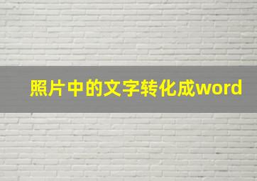 照片中的文字转化成word