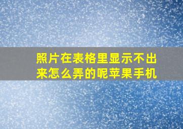 照片在表格里显示不出来怎么弄的呢苹果手机