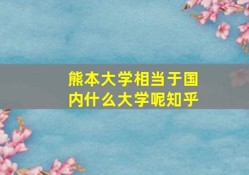 熊本大学相当于国内什么大学呢知乎