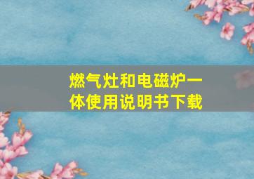 燃气灶和电磁炉一体使用说明书下载