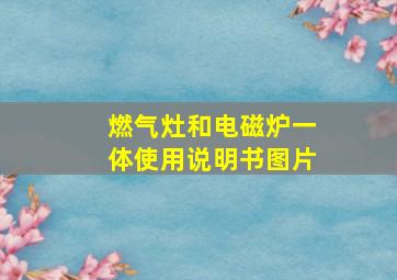 燃气灶和电磁炉一体使用说明书图片