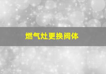 燃气灶更换阀体