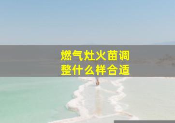 燃气灶火苗调整什么样合适