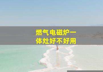 燃气电磁炉一体灶好不好用