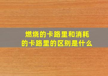 燃烧的卡路里和消耗的卡路里的区别是什么