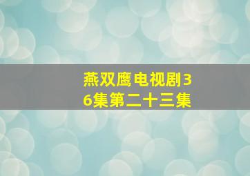 燕双鹰电视剧36集第二十三集