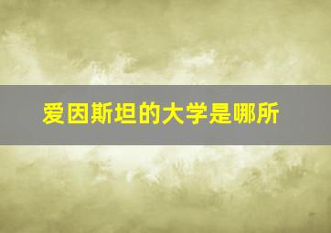 爱因斯坦的大学是哪所