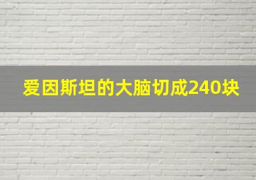 爱因斯坦的大脑切成240块