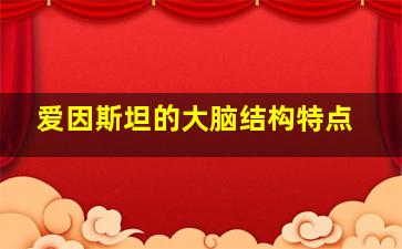 爱因斯坦的大脑结构特点