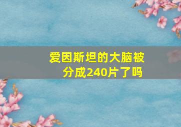 爱因斯坦的大脑被分成240片了吗