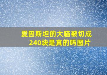 爱因斯坦的大脑被切成240块是真的吗图片