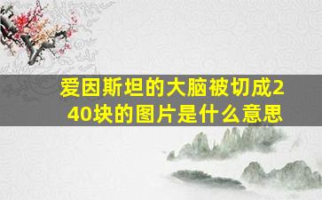 爱因斯坦的大脑被切成240块的图片是什么意思