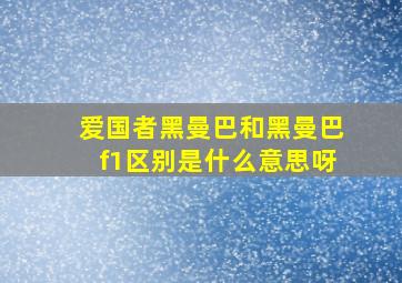 爱国者黑曼巴和黑曼巴f1区别是什么意思呀