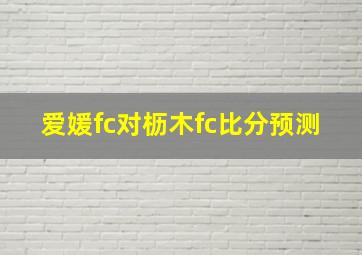 爱媛fc对枥木fc比分预测