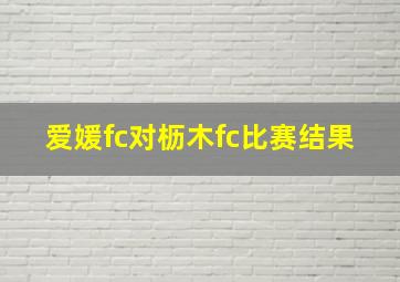 爱媛fc对枥木fc比赛结果