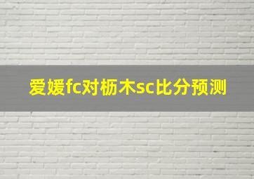 爱媛fc对枥木sc比分预测