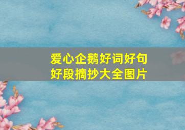 爱心企鹅好词好句好段摘抄大全图片