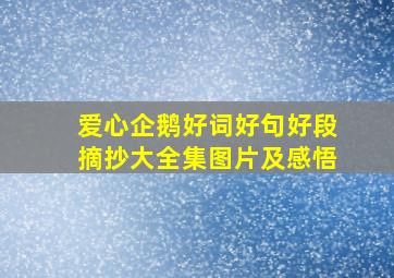 爱心企鹅好词好句好段摘抄大全集图片及感悟