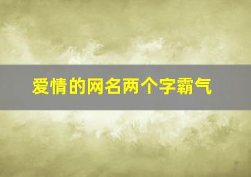 爱情的网名两个字霸气