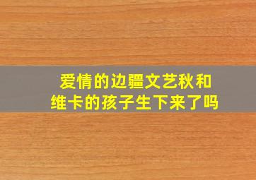 爱情的边疆文艺秋和维卡的孩子生下来了吗