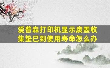 爱普森打印机显示废墨收集垫已到使用寿命怎么办