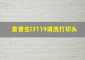 爱普生l3119清洗打印头