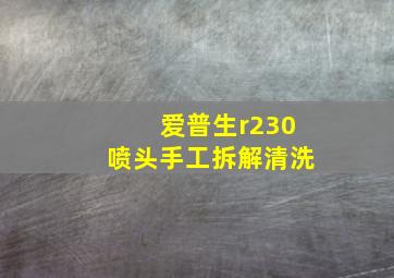 爱普生r230喷头手工拆解清洗