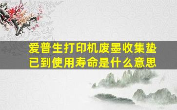 爱普生打印机废墨收集垫已到使用寿命是什么意思