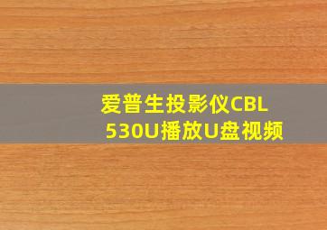 爱普生投影仪CBL530U播放U盘视频