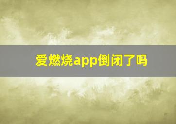 爱燃烧app倒闭了吗